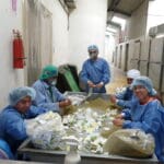 Jambi Kiwa est une coopérative équatorienne de la province du Chimborazo, dont 80% des habitants sont des indiens Puruhaes. Ses activités sont l’achat, la transformation et la commercialisation de plantes médicinales, travaillées selon un savoir-faire ancestral local. Elle est composée de 400 associés, dont la majorité sont des femmes pauvres touchées par la discrimination. C’est par ailleurs une organisation qui a lancé ses activités dans un contexte d’exode rural, afin de permettre aux jeunes qui quittaient le Chimborazo de générer un revenu supplémentaire, pour les encourager à rester sur place. Le but étant de favoriser le dynamisme économique local. Enfin, l’OP mène des actions de reforestation veillant à la protection de l’environnement.
