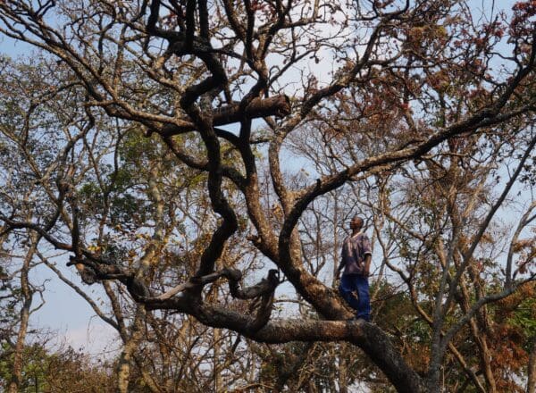 Dsc01912 photoselect