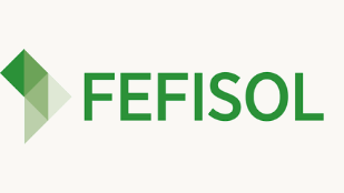 Fefisol