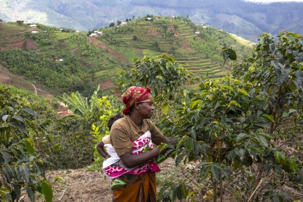 Productrice de café de la coopérative abakundakawa