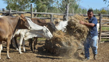 Clients Microfinance (10)