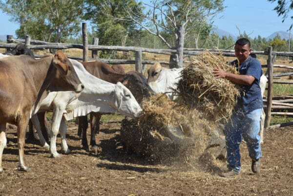 Clients Microfinance (10)
