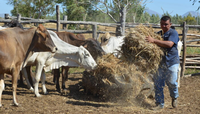Clients Microfinance (10)