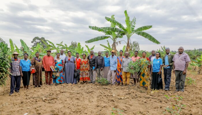 Kitagata farmers cooperative