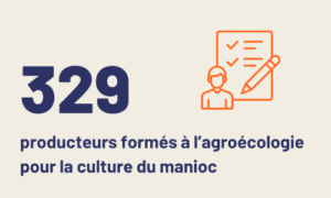 Chiffre clés Kitagata Ouganda - 329 producteurs agroécologie manioc