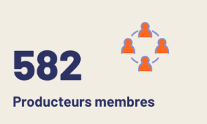 Chiffres clés kitagata ouganda - 582 producteurs membres