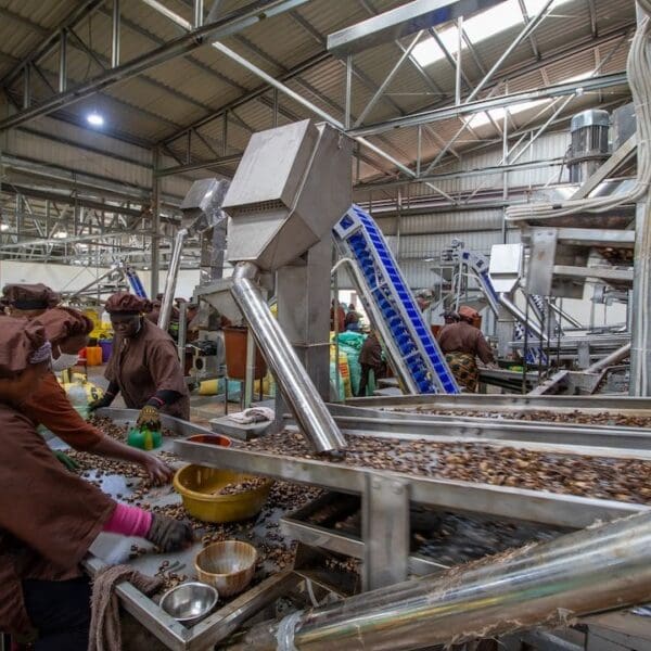 Usine gebana faso 2026 1