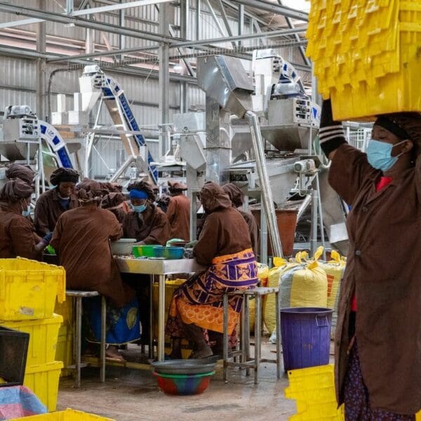 Usine Gebana Faso 2026 ©Gebana